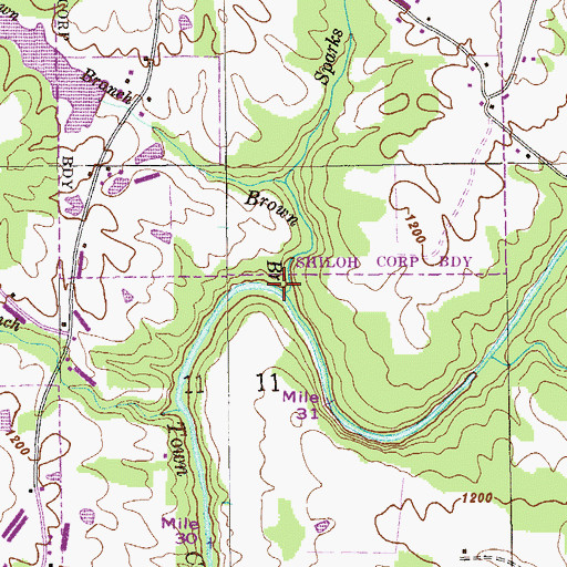 Topographic Map of Brown Branch, AL
