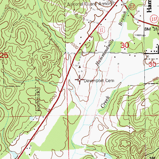 Topographic Map of Davenport Cemetery, AL
