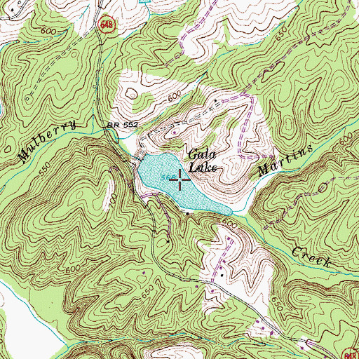 Topographic Map of Gala Lake, VA