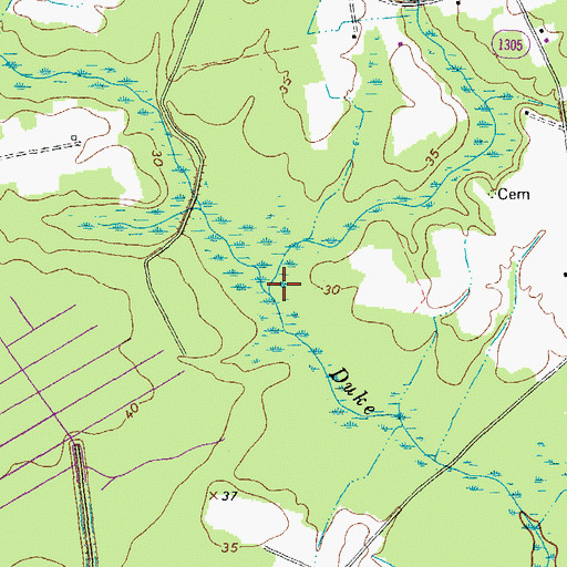 Topographic Map of Goodman Swamp, NC