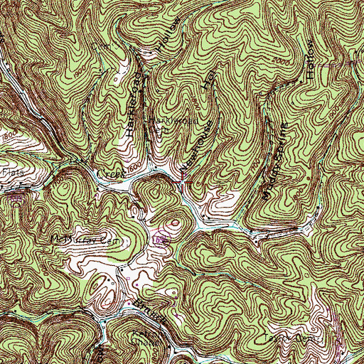 Topographic Map of Newhouse Hollow, VA