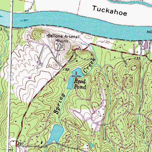 Topographic Map of Reed Pond, VA