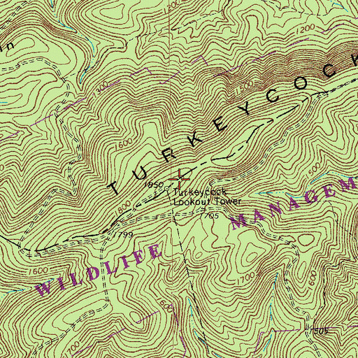 Topographic Map of Turkeycock Lookout Tower, VA