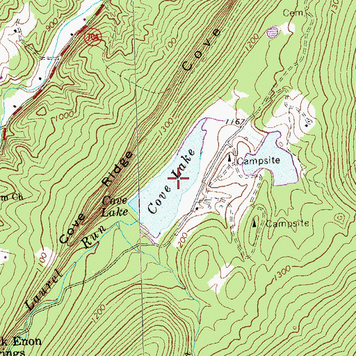 Topographic Map of Cove Lake, VA