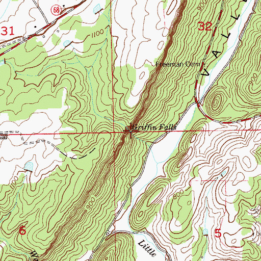 Topographic Map of Griffin Falls, AL