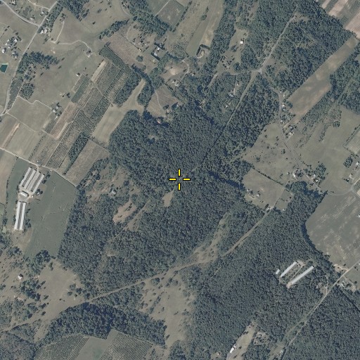 Aerial/Satellite Image of WSIG-FM (Mount Jackson), VA