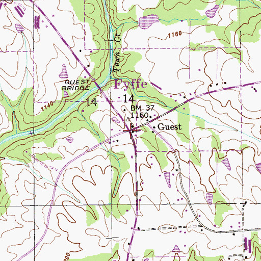 Topographic Map of Guest, AL