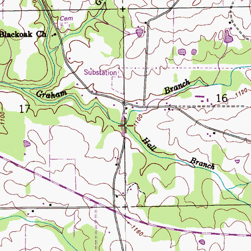 Topographic Map of Hall Branch, AL