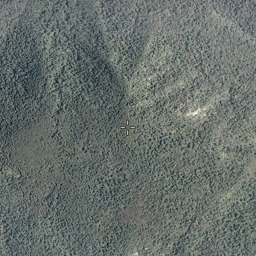 Aerial/Satellite Image of Thorofare Mountain, VA