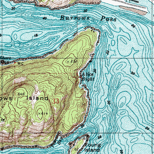 Topographic Map of Alice Bight, WA