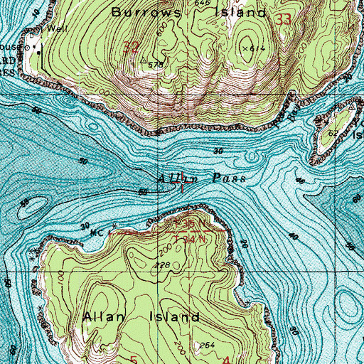 Topographic Map of Allan Pass, WA