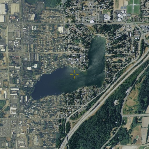 Aerial/Satellite Image of Angle Lake, WA