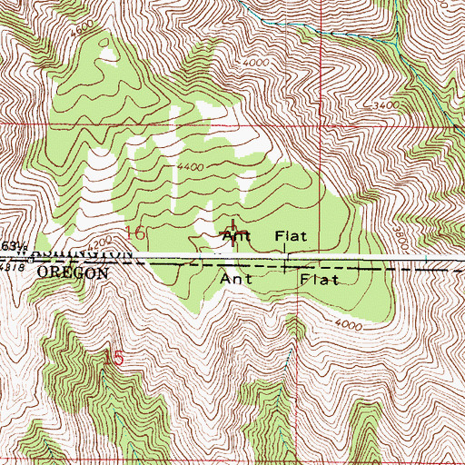 Topographic Map of Ant Flat, WA