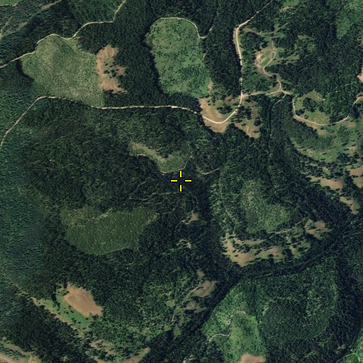 Aerial/Satellite Image of Arnold Spring, WA
