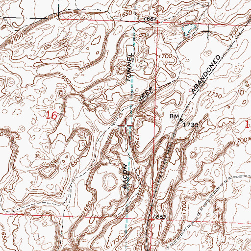 Topographic Map of Bacon Tunnel, WA