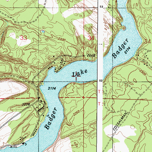 Topographic Map of Badger Lake, WA
