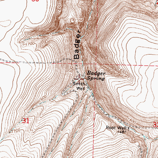 Topographic Map of Badger Spring, WA