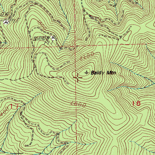 Topographic Map of Baldy Mountain, WA