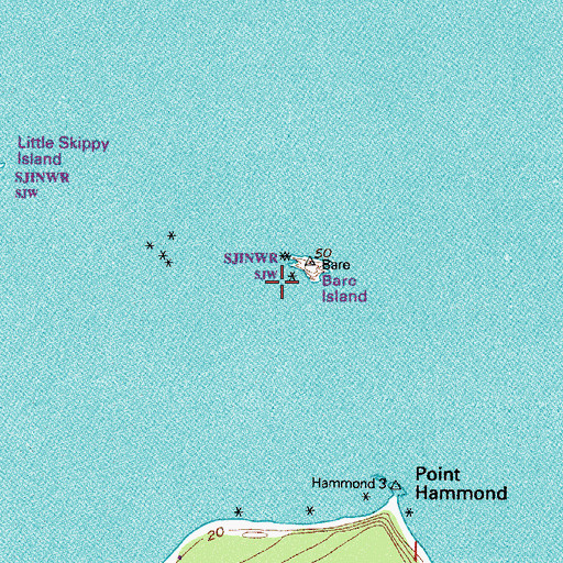 Topographic Map of Bare Island, WA