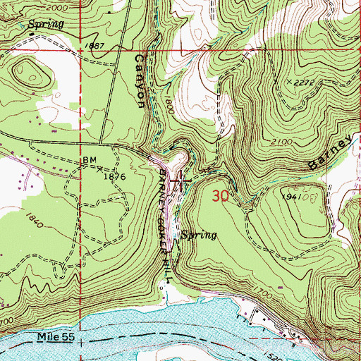 Topographic Map of Barney Coker Canyon, WA