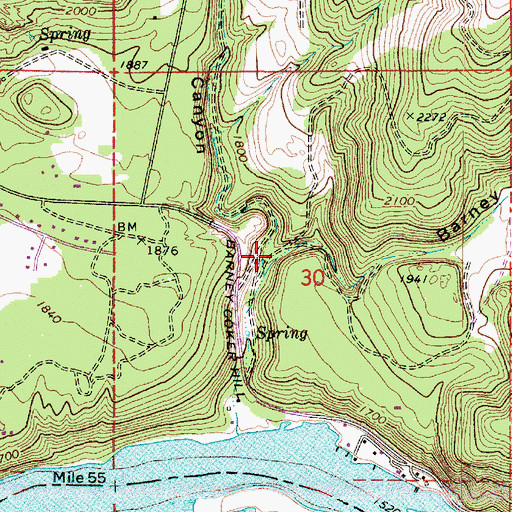 Topographic Map of Barney Coker Canyon, WA