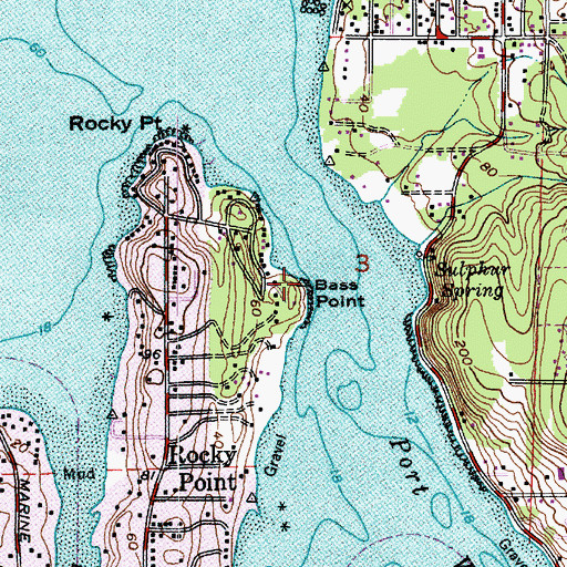 Topographic Map of Bass Point, WA