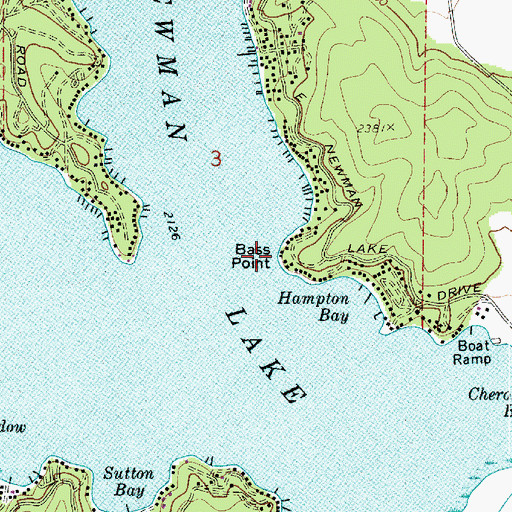 Topographic Map of Bass Point, WA