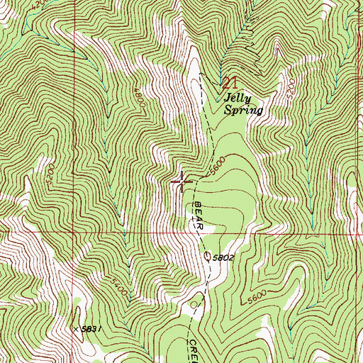 Topographic Map of Bear Creek Trail, WA