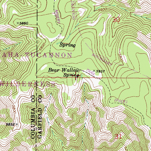 Topographic Map of Bear Wallow Spring, WA