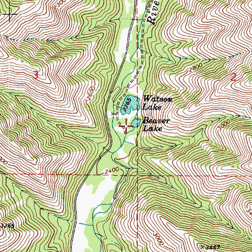 Topographic Map of Beaver Lake, WA