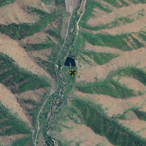 Aerial/Satellite Image of Beaver Lake, WA