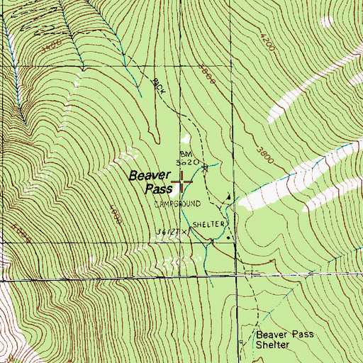 Topographic Map of Beaver Pass, WA