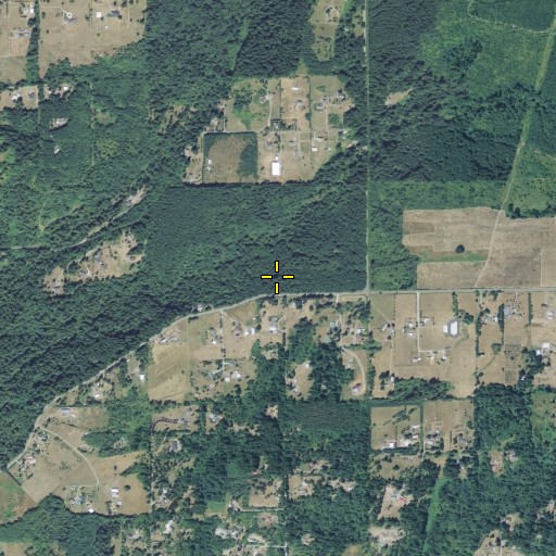Aerial/Satellite Image of Bee Tree School, WA