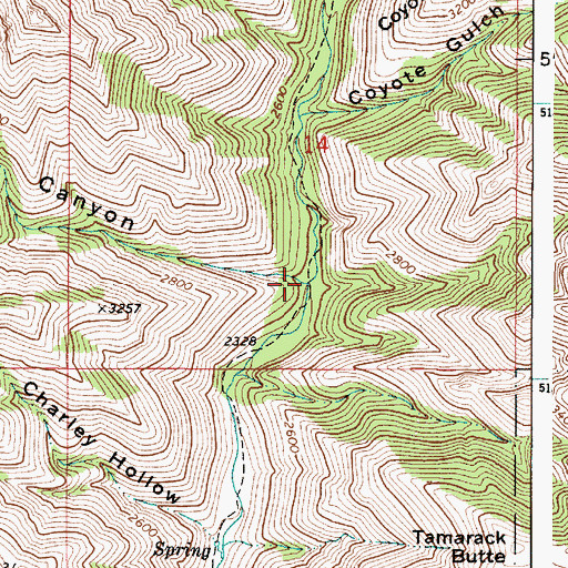 Topographic Map of Bell Canyon, WA