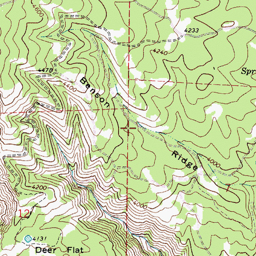 Topographic Map of Benson Ridge, WA