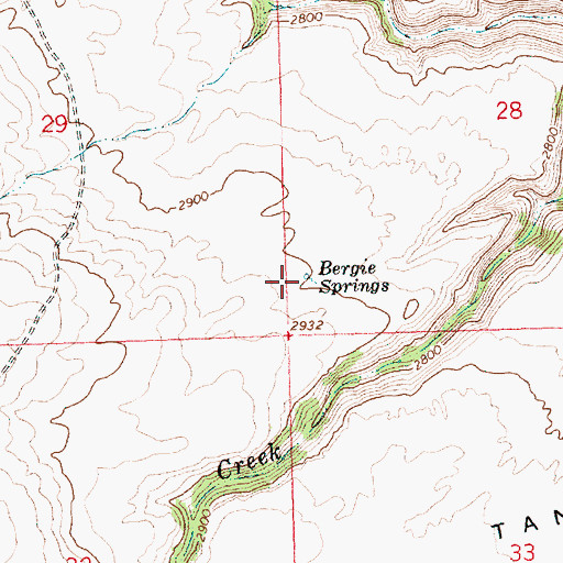 Topographic Map of Bergie Springs, WA