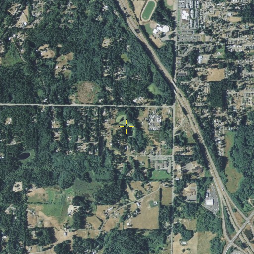 Aerial/Satellite Image of Berry Lakes, WA