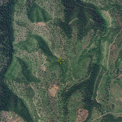Aerial/Satellite Image of Big Fir Spring, WA