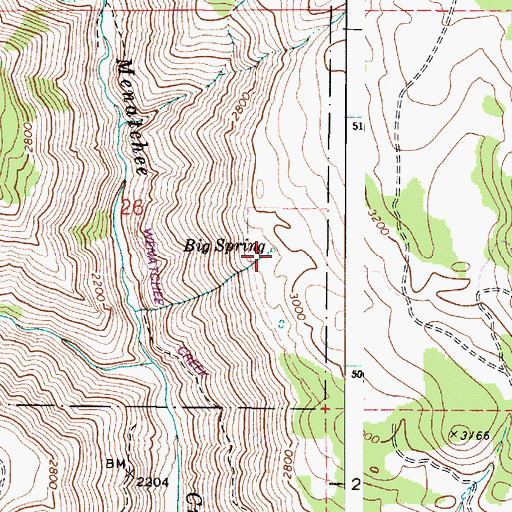 Topographic Map of Big Spring, WA