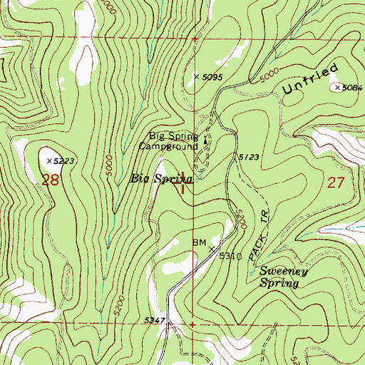 Topographic Map of Big Spring, WA