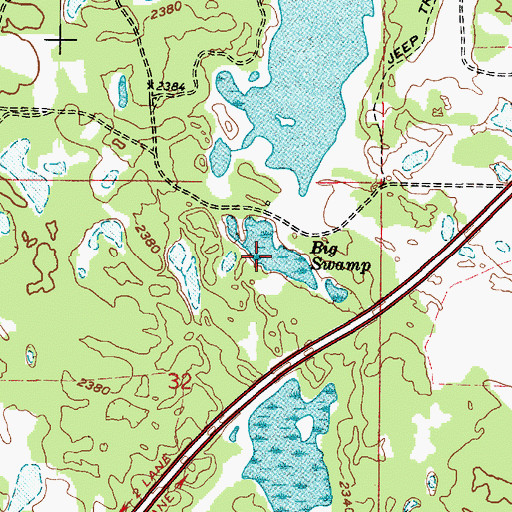 Topographic Map of Big Swamp, WA