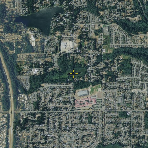 Aerial/Satellite Image of Bingaman Pond, WA