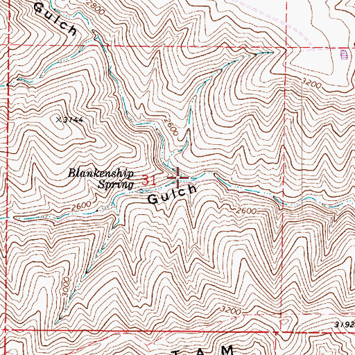 Topographic Map of Blankenship Gulch, WA