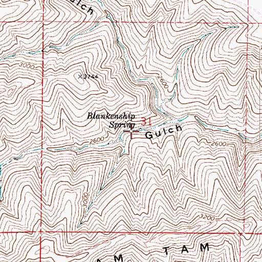 Topographic Map of Blankenship Spring, WA