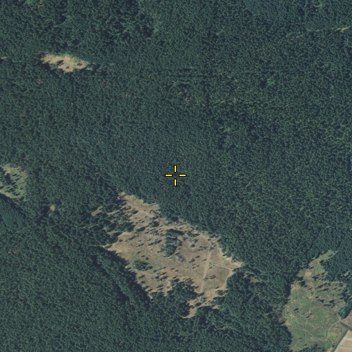 Aerial/Satellite Image of Bloyd Woods, WA