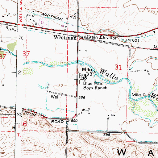 Topographic Map of Blue Mountain Boys Ranch, WA