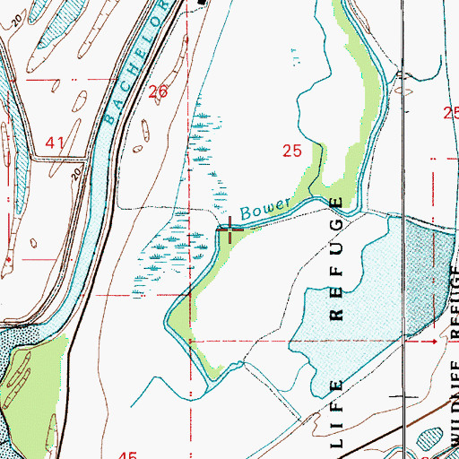 Topographic Map of Bower Slough, WA