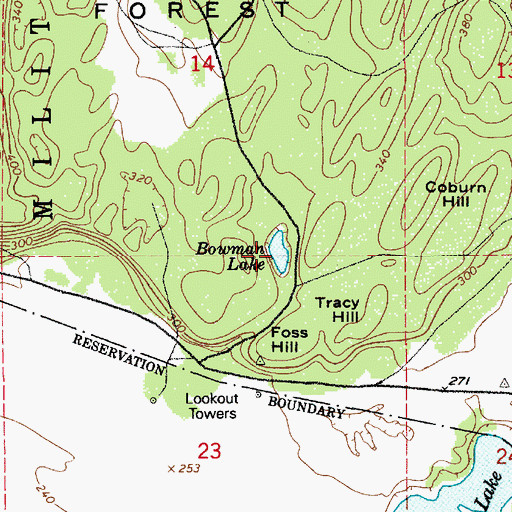 Topographic Map of Bowman Lake, WA