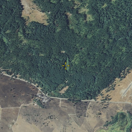 Aerial/Satellite Image of Bowman Lake, WA