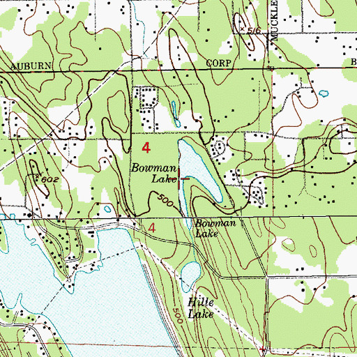 Topographic Map of Bowman Lake, WA